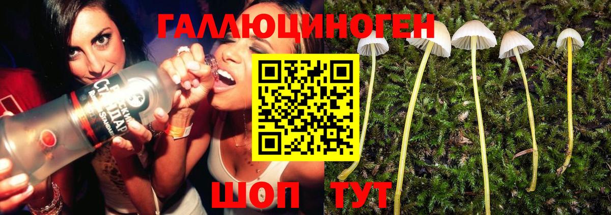 Псилоцибиновые грибы мухоморы Подольск