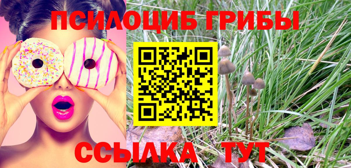 Псилоцибиновые грибы Psilocybe  Вход с VPN  Псилоцибиновые грибы GOLDEN TEACHER  Подольск 